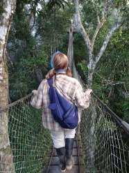 conservation theater storytelling