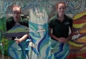 Screen Shot 2016-04-26 at 9.52.20 PM